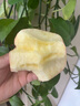 甜醉了 煙臺蘋(píng)果棲霞紅富士新鮮水果生鮮山東特產(chǎn)脆甜整箱平果禮盒禮品 3斤嘗鮮果 75mm 曬單實(shí)拍圖