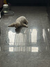 力狼（LILANG）狗糧幼犬成犬牛肉粒雙拼40斤德牧金毛小型中大型通用犬糧20kg 曬單實(shí)拍圖