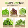 一號(hào)農(nóng)場(chǎng)開袋即食意式風(fēng)情沙拉150g*3無醬汁蔬菜沙拉輕食健身代餐源頭直發(fā) 曬單實(shí)拍圖