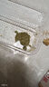 寵物烏龜活物 寵物活體烏龜 半水龜小烏龜苗 觀賞龜活體 4-5厘米寵物龜 1只單身龜 曬單實拍圖