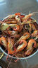 溫潤食品嶺南老母雞2斤散養(yǎng)笨雞500天齡以上放養(yǎng)走地雞土雞冷凍生鮮整雞 曬單實(shí)拍圖
