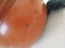 【2025爆款】南瓜鍋大容量湯鍋燉鍋不粘鍋壓力鍋家用電磁燃氣鍋XL 8L 【燃氣灶+電磁爐】+大容量 【煲燉煮全能鎖鮮+微壓省時(shí)】橙 曬單實(shí)拍圖
