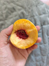 粵迎正宗山東蒙陰黃桃黃毛桃現(xiàn)摘桃子當(dāng)季新鮮水果現(xiàn)摘現(xiàn)發(fā)水果生鮮 5斤精選裝【果農(nóng)手挑】?jī)?.5斤 曬單實(shí)拍圖