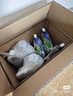 威露士清可新洗衣液檸檬香20.24斤（瓶2L+1L+袋1L*7+消毒液60ml*2）除螨 曬單實(shí)拍圖