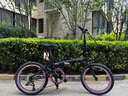 大行（DAHON）折疊自行車20英寸8級(jí)變速經(jīng)典P8單車KBC083 黑色經(jīng)典版-京倉 曬單實(shí)拍圖