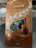 瑞士蓮（Lindt）【官方正品】軟心精選巧克力507g 袋裝 糖果 零食 教師節(jié)禮物 曬單實拍圖