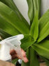 農寶噴壺噴霧器澆花清潔噴水壺灑水壺按壓式消毒酒精噴霧瓶 500ML 曬單實(shí)拍圖