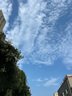 回力女鞋夏季網(wǎng)面透氣德訓鞋女新款輕便百搭休閑學(xué)生板鞋 紅米  38  曬單實(shí)拍圖