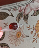福施福紅棗富鐵軟糖 雙重鐵源 兒童孕婦女性姨媽期補充營(yíng)養 84g 曬單實(shí)拍圖