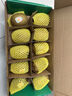 佳沛（zespri）新西蘭 陽光金果12粒單果約122-146g 獼猴桃 中秋水果禮盒 曬單實(shí)拍圖