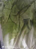 快菜300g 曬單實(shí)拍圖