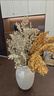 元族茉澈侘寂風(fēng)油畫(huà)霧凇·仿真植物假花擺設花藝擺件桌面花瓶插花裝飾 淺色魅力】姜黃-葉色凇枝五頭*3【 曬單實(shí)拍圖