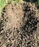 松土精土壤活化劑黑水肥料改善板結疏松免深耕菜園翻地松土神器 【管2畝】 1000g 1袋 曬單實(shí)拍圖