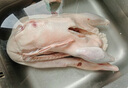 崠鮮大鵝生鮮 殺后5-6斤 農(nóng)家散養(yǎng)大白鵝新鮮冷凍嫩鵝肉 源頭直發(fā) 曬單實拍圖