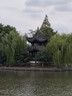 優(yōu)衣庫(kù)女裝竹節(jié)紗V領(lǐng)T恤/短袖棉白T上衣打底內(nèi)搭春夏新款483576 09 黑色 XL /165/92A 曬單實(shí)拍圖