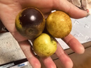 京地達(dá)陜西大荔冬棗禮盒凈重4.5斤大果20g+新鮮水果大棗子源頭直發(fā)包郵 曬單實(shí)拍圖