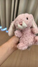 Jellycat粉色郁金香甜美小兔公仔動(dòng)物毛絨玩偶送禮娃娃生日七夕情人節禮物 粉色 One Size 曬單實(shí)拍圖