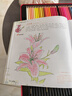 經(jīng)典全集《彩鉛花卉》彩色鉛筆繪畫(huà)入門(mén)教程書(shū)籍臨摹零基礎初學(xué)者成人溫情樂(lè )鳥(niǎo)手繪插畫(huà)多肉人物古風(fēng)兒童教材 曬單實(shí)拍圖