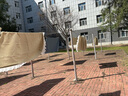 茨格曼雙頭夾子曬被子大夾子無(wú)痕防風(fēng)夾大號塑料夾固定器晾曬衣服夾子 曬單實(shí)拍圖