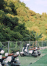 松下S9（18-40mm F4.5-6.3）套機 （Panasonic）全畫(huà)幅微單 實(shí)時(shí)Lut 濾鏡直出 連接app極速分享-白色 曬單實(shí)拍圖