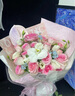 華元寵具（hoopet）貓咪伊麗莎白圈項圈寵物狗狗圈恥辱圈頸圈脖圈頭套犬防舔頭罩頭套 曬單實(shí)拍圖