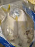 翔泰 海南金鯧魚(yú)凈重900g 2條裝  魚(yú)類(lèi)生鮮 燒烤 火鍋食材 海鮮水產(chǎn) 曬單實(shí)拍圖