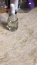科顏氏安白瓶新集煥白均衡亮膚淡斑精華液 15ml  曬單實(shí)拍圖