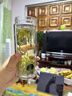 希諾（HEENOOR）雙層玻璃杯帶過濾網(wǎng)辦公室經(jīng)典泡茶杯男士商務(wù)耐熱玻璃水杯子 XN-6702本色-適中容量-345毫升 禮盒裝 曬單實(shí)拍圖