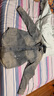 Levi's?SilverTab?25年春夏新款男士美式復古破洞牛仔夾克外套 藍灰 004GK-0001 L 曬單實(shí)拍圖