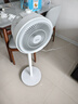 美的（Midea）【暴風(fēng)循環(huán)】空氣循環(huán)扇大風(fēng)量搖頭電風(fēng)扇家用臺式落地扇輕音臥室節能小風(fēng)扇柔風(fēng)輕羽扇 FGA24TQ 曬單實(shí)拍圖