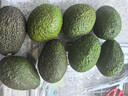 正宗進(jìn)口秘魯哈斯牛油果孕婦水果寶寶輔食進(jìn)口鱷梨整箱批發(fā)價(jià) 8個(gè)裝 單果重130-160克 曬單實(shí)拍圖