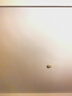 車(chē)麗友汽車(chē)腳墊專(zhuān)用于邁騰帕薩特寶來(lái)星瑞卡羅拉雷凌哈弗H6逸動(dòng)秦plus 曬單實(shí)拍圖