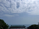 五糧液股份 五糧特曲典藏濃香型白酒52度475mL*2瓶禮盒裝 曬單實拍圖