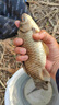 云飛魚無結(jié)主線線組套裝釣魚線主線成品綁好黑坑大物鰱鳙主線組配件漁具 4.5米八字環(huán)款4卷【拉力提升】 2.0號 曬單實拍圖