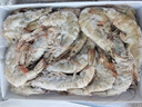 鮮京采 原裝進(jìn)口20/30厄瓜多爾白蝦 凈重3.3斤  33-50只/盒 源頭直發(fā) 曬單實(shí)拍圖