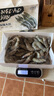 鯨口大開(kāi)【青島蝦】超大蝦新鮮大蝦冷凍鮮活青島大蝦批發(fā)整箱基圍蝦青蝦 15-17厘米鮮蝦速凍 3斤(凈重) 曬單實(shí)拍圖