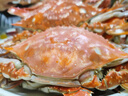 一只魚襪子男士7a級抗菌防臭春夏季運動襪中筒長襪休閑棉襪七夕禮物 曬單實拍圖