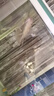 保拿仕銀龍魚飼料專用魚糧肉食配方 金龍地圖魚招財(cái)魚飼料上浮不渾水 350g(1200ml)招財(cái)銀龍專用糧 曬單實(shí)拍圖