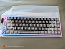 MIKIT Meet68 Ultra 磁軸鍵盤旗艦RT電競游戲客制化鋁坨坨機械鍵盤鋁合金 無畏契約打瓦CSGO 【全新上線】Meet68Ultra星韻藍粉 漸變 歐米伽零界磁軸 曬單實拍圖
