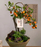 bebebus 金標(biāo)茶樹(shù)精華成長(zhǎng)褲3XL20片(≥17kg)透氣超薄拉拉學(xué)步褲男女寶 曬單實(shí)拍圖