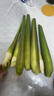 【現采現發(fā)】新鮮茭白時(shí)令蔬菜帶殼茭白高筍應季美食農家自種包郵 現采帶殼茭白1.6-2斤 凈重 曬單實(shí)拍圖