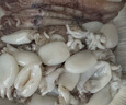 三去冰鮮三去墨魚(yú)仔200g 曬單實(shí)拍圖