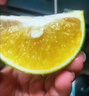 京地達海南正宗綠橙凈重8斤一斤約3個(gè)左右青皮橙子水果手剝橙源頭直發(fā) 曬單實(shí)拍圖