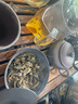 金灶（KAMJOVE） 加厚耐熱玻璃公道杯分茶器公杯茶道茶海過濾公杯茶具配件 GO-31 GO-31 曬單實(shí)拍圖