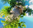 影石（Insta360）官方推薦配件 256G內(nèi)存卡SD卡【除GO 3/GO 3S外通用】 曬單實(shí)拍圖