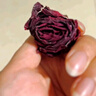 信盛堂北京同仁堂墨紅玫瑰花茶100克云南大朵凍干無(wú)硫重瓣紅玫瑰養生茶 曬單實(shí)拍圖