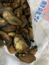 繽鮮 特大金蠔干新鮮大生蠔干貨 海蠣子牡蠣海鮮 山東特產(chǎn)煲湯生曬淡 精選大號蠔干 凈 250克約100-120/個(gè) 曬單實(shí)拍圖