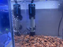 創(chuàng  )寧魚(yú)缸石英變頻加熱棒 CN-605-100W 低水位烏龜小型迷你自動(dòng)恒溫器 曬單實(shí)拍圖