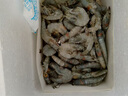 蝦有蝦途大黃魚(yú) 黃姑魚(yú)似黃花魚(yú)新鮮冷凍生鮮水產(chǎn)鮮活冰鮮海魚(yú)3斤凈重 3斤3條大黃姑魚(yú)【蒜瓣肉】 3斤3條大黃姑魚(yú)【蒜瓣肉】 曬單實(shí)拍圖