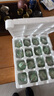 神郵 高郵皮蛋松花蛋 熟16枚*60g無鉛工藝家庭裝 曬單實(shí)拍圖